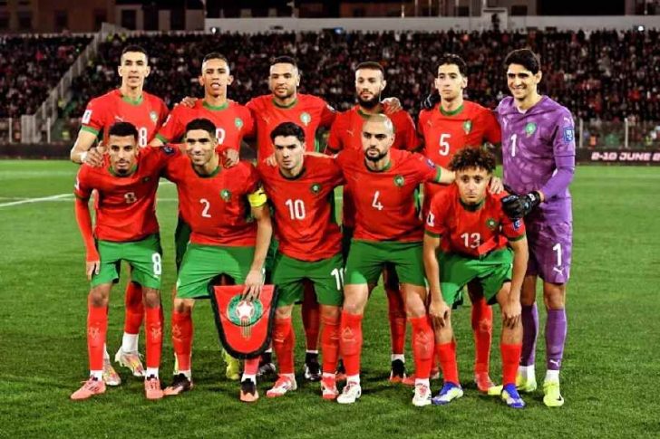 Lions de l'Atlas
