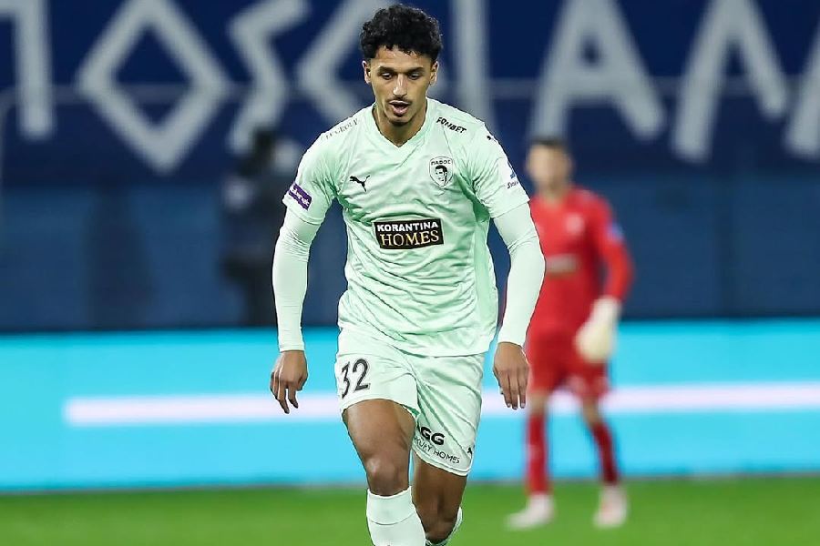 Mehdi Boukamir