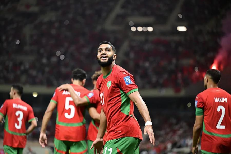 Les Lions de l'Atlas
