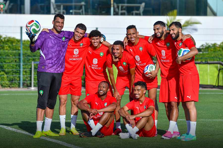 Lions de L'Atlas
