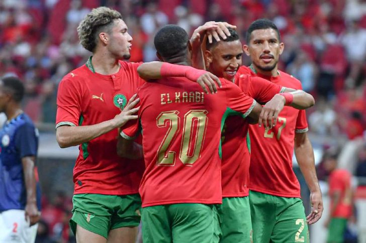 Lions de l'Atlas