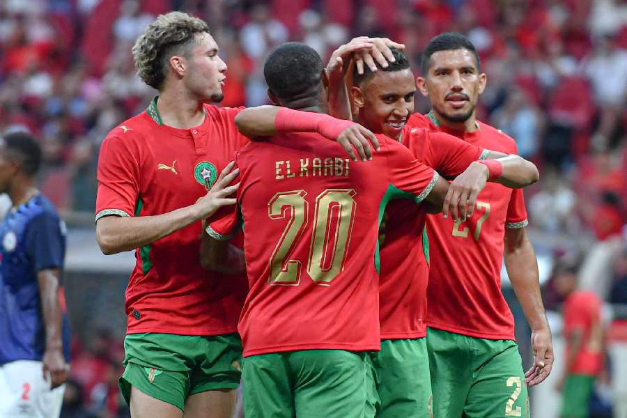 Lions de l'Atlas
