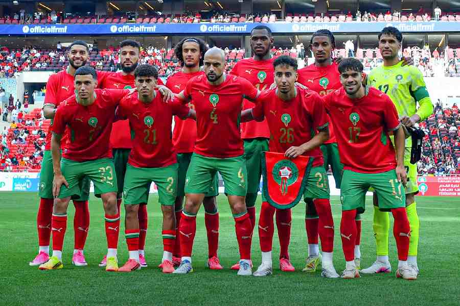 Lions de l'Atlas