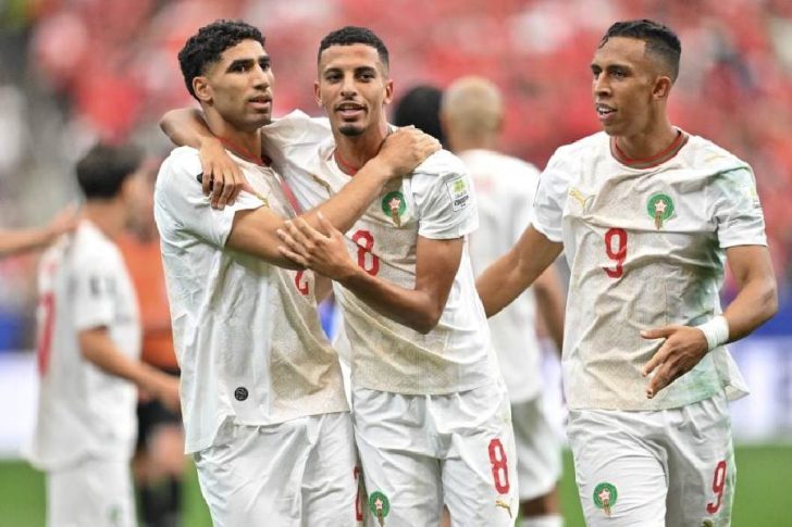 Lions de l'Atlas
