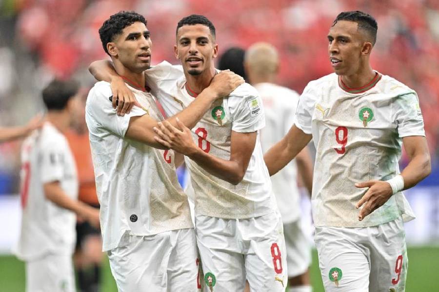 Lions de l'Atlas
